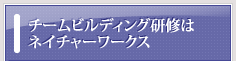 チームビルディング研修はネイチャーワークス
