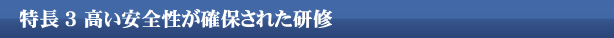高い安全性
